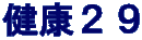 健康２９